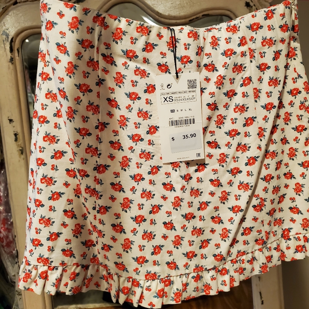 Zara skirt and top set